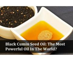 http://supplementdigestdog.com/black-cumin-oil/