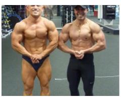  http://newmusclesupplements.com/test-max-365/